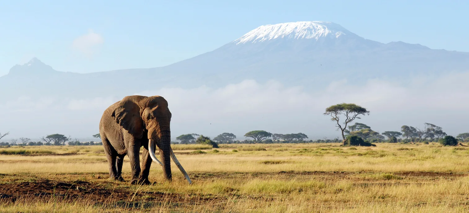 África