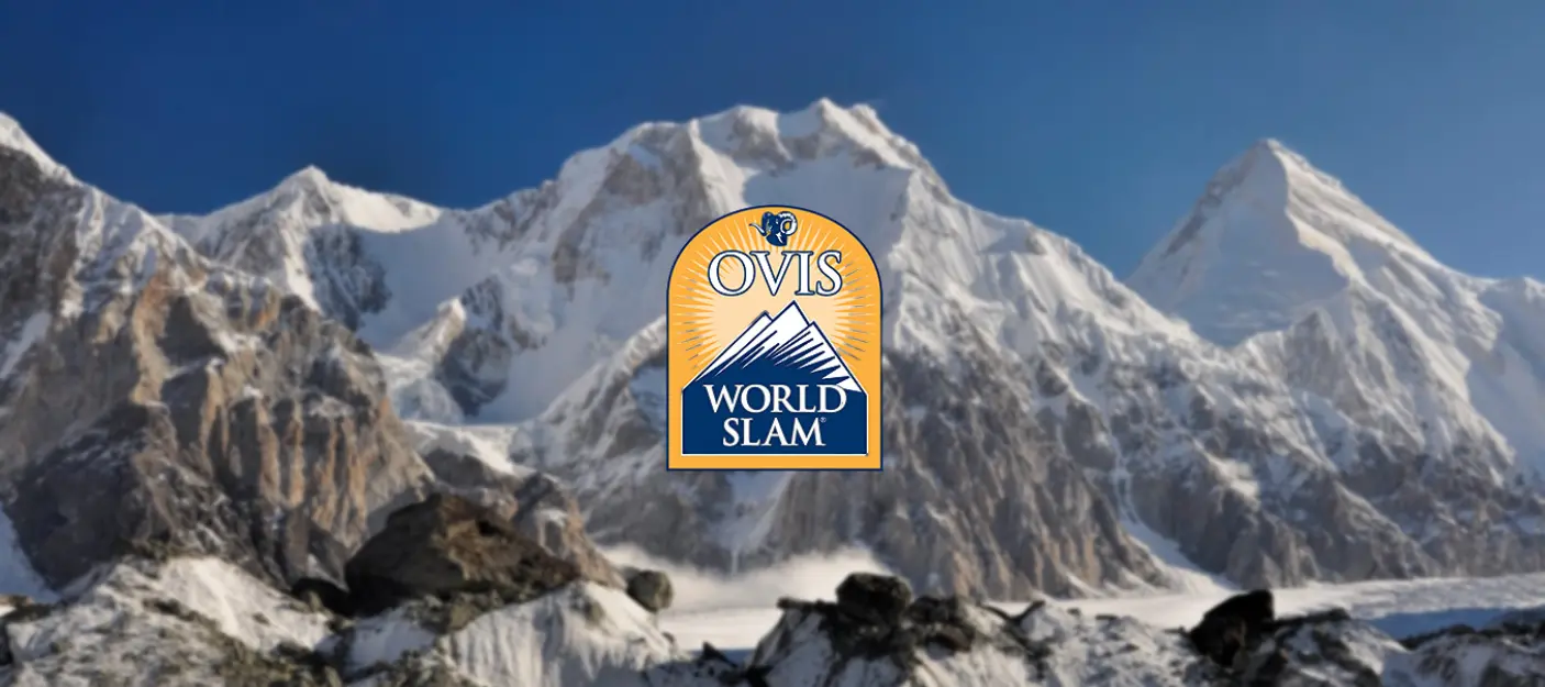 Gran Slam Ovis